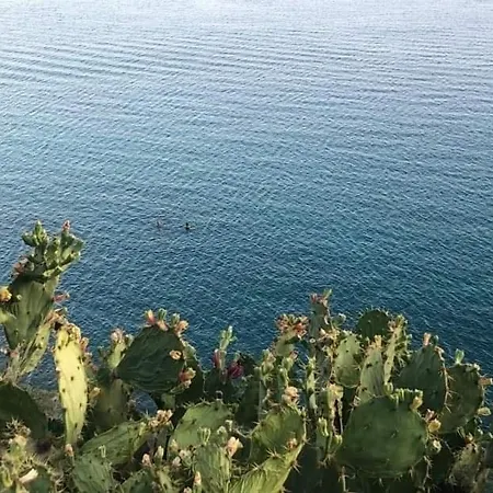 Of The Hill In Drepano-nafplio, Beautiful View Apartment Drepano (Argolis)