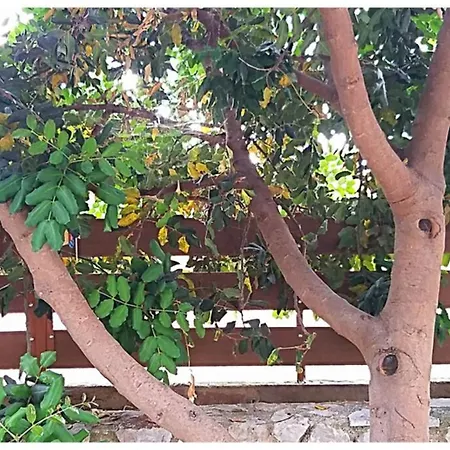 Of The Hill In Drepano-nafplio, Beautiful View Διαμέρισμα Δρέπανο