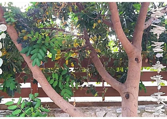 Of The Hill In Drepano-nafplio, Beautiful View Apartamento Drepano (Argolis)